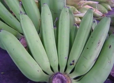 pisang nangka