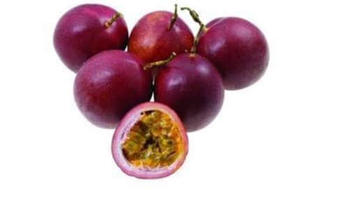 markisa ungu (purple passion fruit)