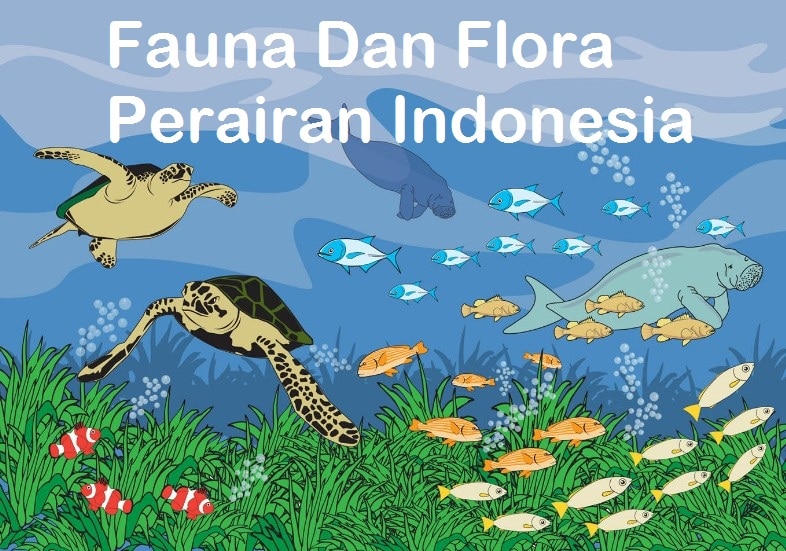 flora dan fauna air