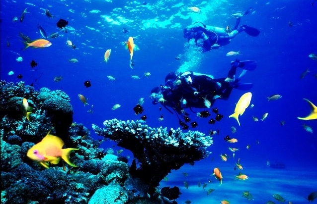 Diving In Karimunjawa