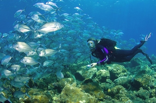 diving tulamben