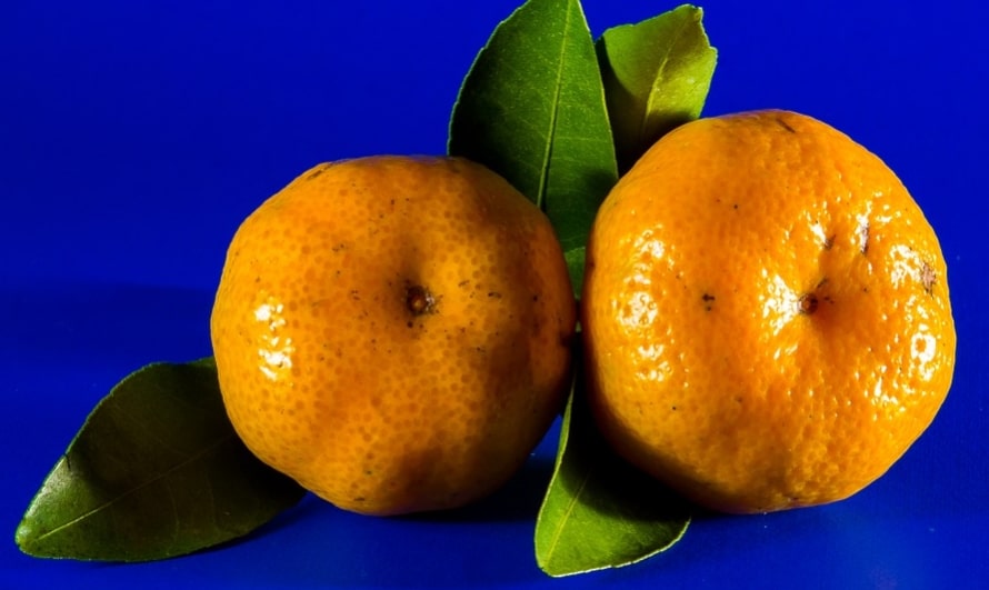 jeruk keprok