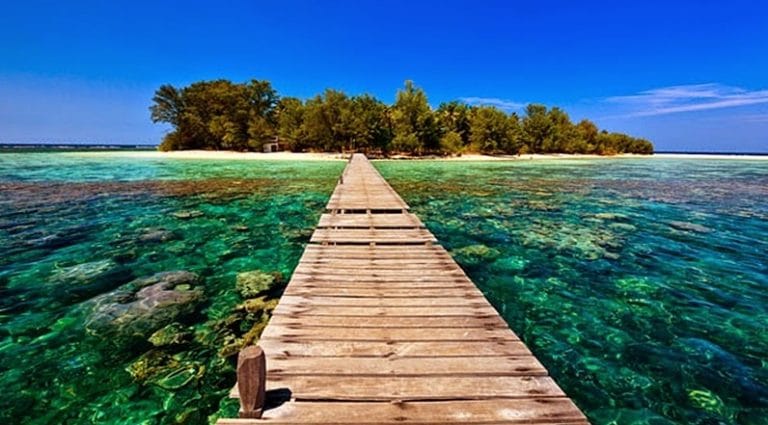 Surga Keindahan Alam Bawah Laut Indonesia