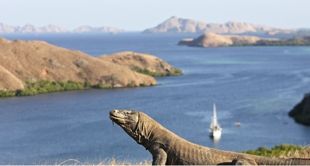 pulau komodo