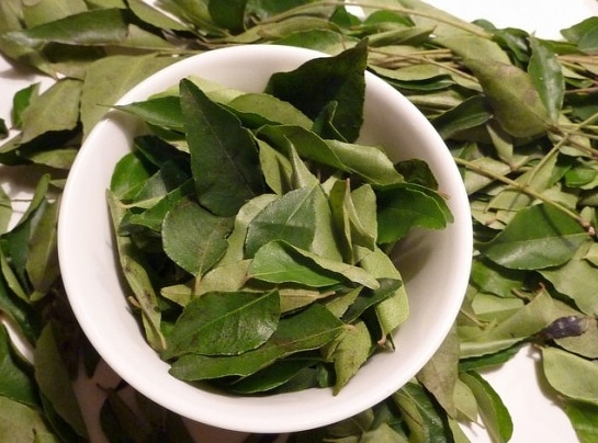 daun kari