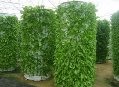 hidroponik Aeroponic System