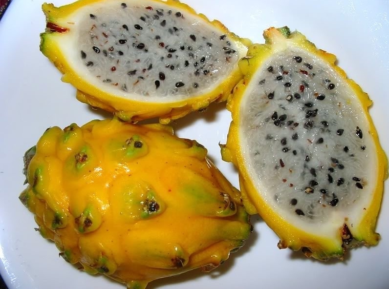 buah naga kuning