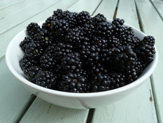 dewberry