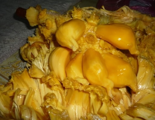 nangka bubur