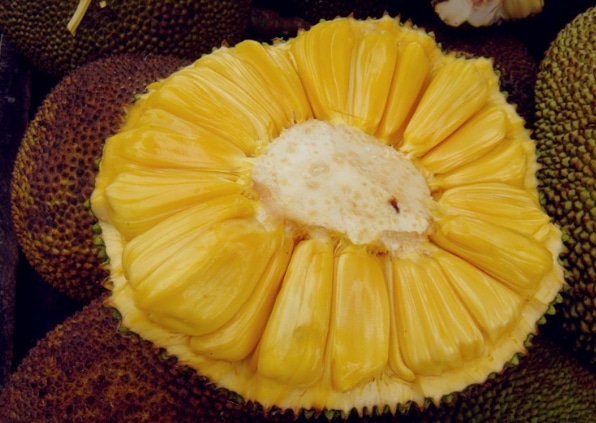 nangka salak