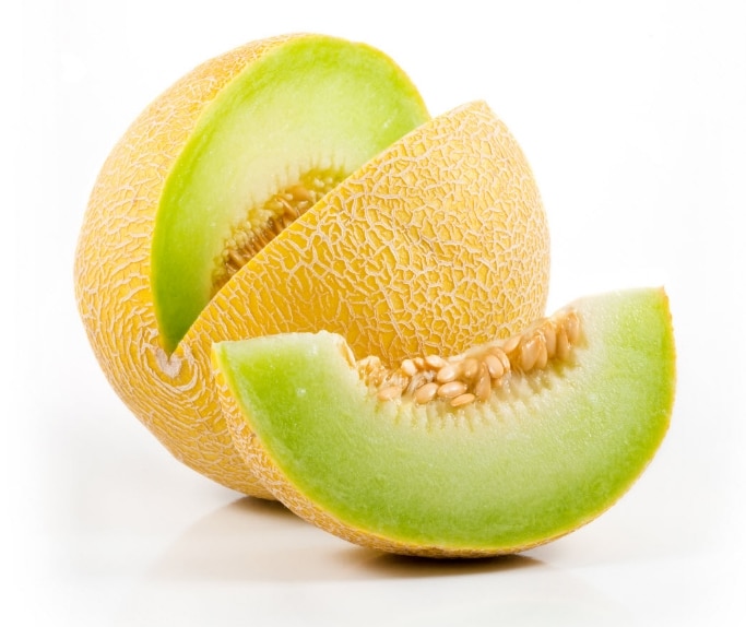 Panduan Teknis Budidaya Melon Yang Baik Dan Benar Flora 