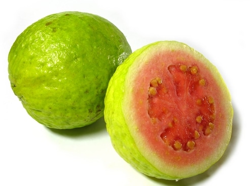 jambu biji