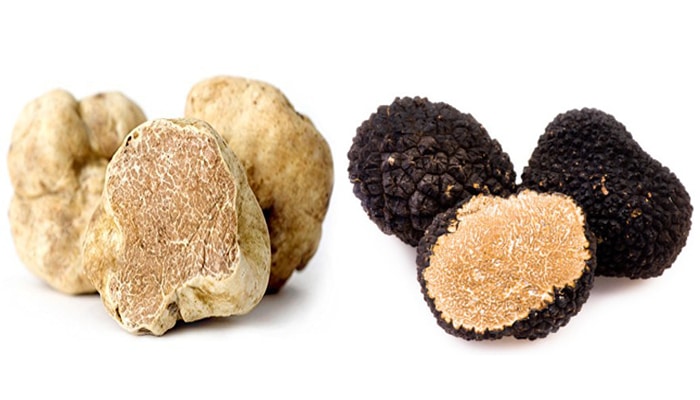 Khasiat Jamur Truffle Bagi Kesehatan Tubuh